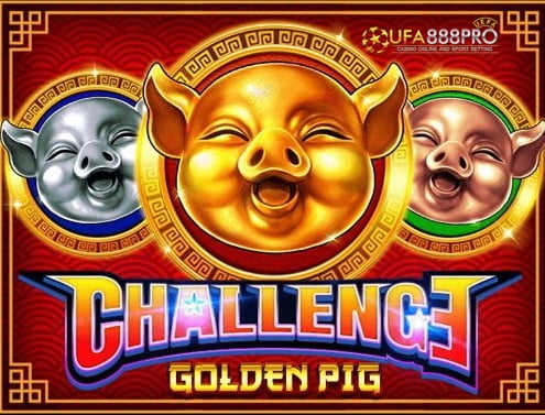 Challenge Golden Pig